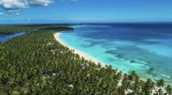 Playa extensa bordeada de cocoteros